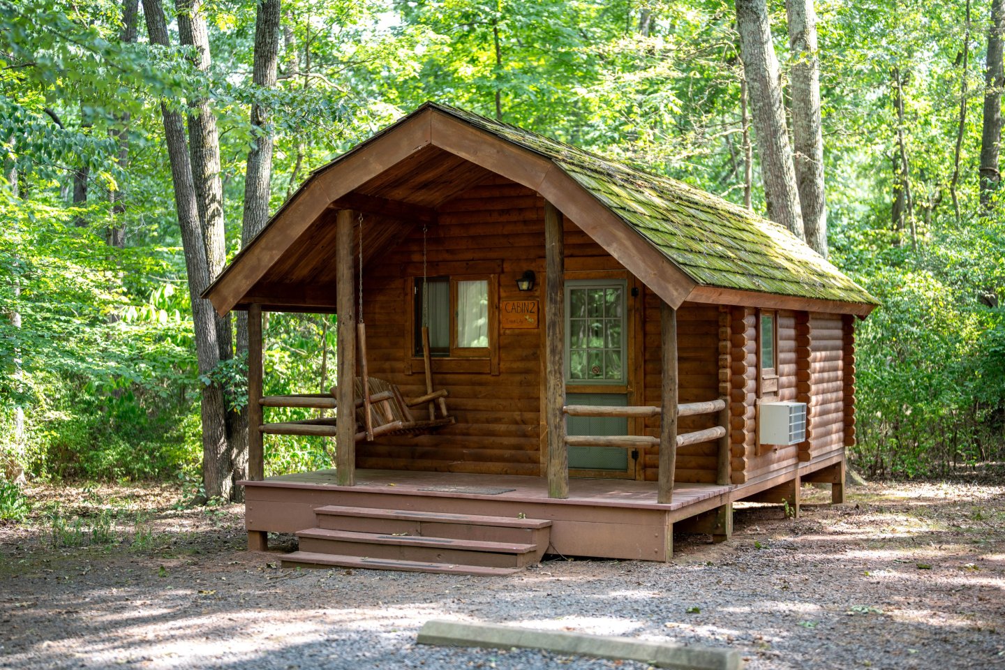 Contemporary cabins surrounded by trees